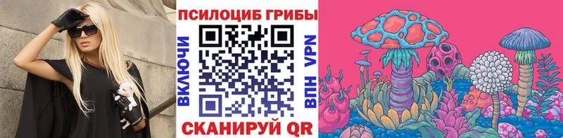 blacksprut ONION  Багратионовск  Галлюциногенные грибы MAGIC MUSHROOMS 